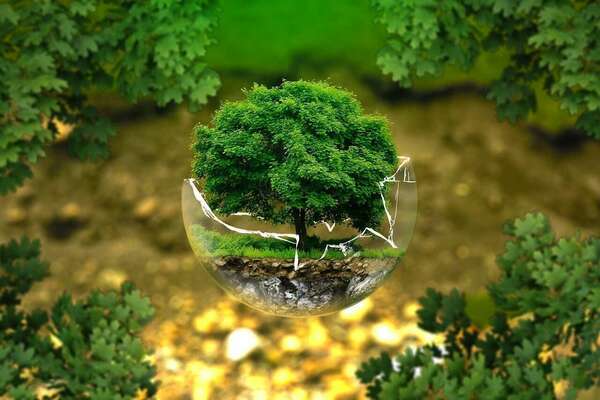 Conseils pour rendre sa location saisonnière plus écologique
